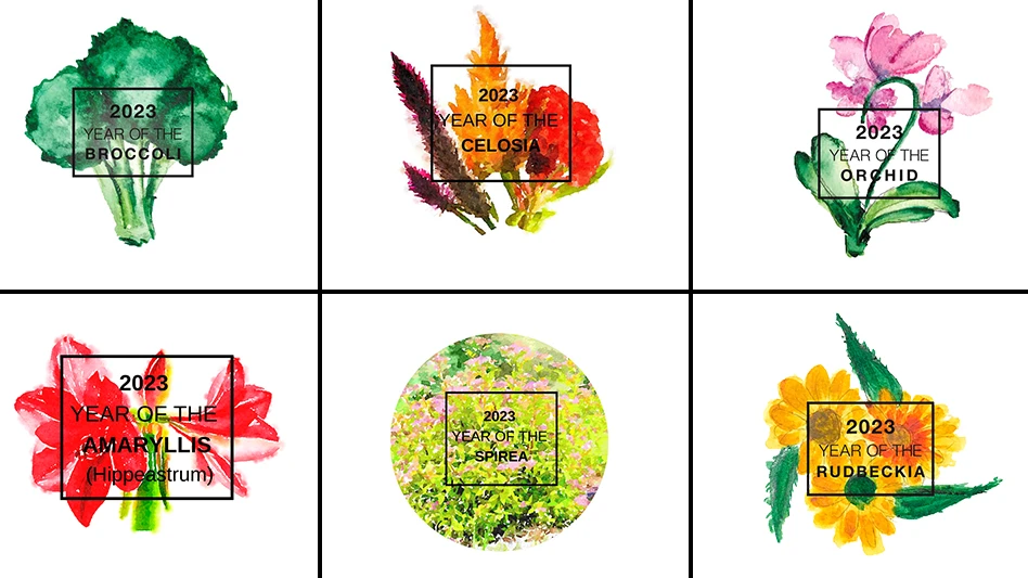 Graphics courtesy of the National Garden Bureau
