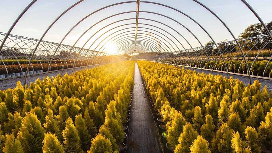 Photo by Taylor Kindell, Petitti Garden Center