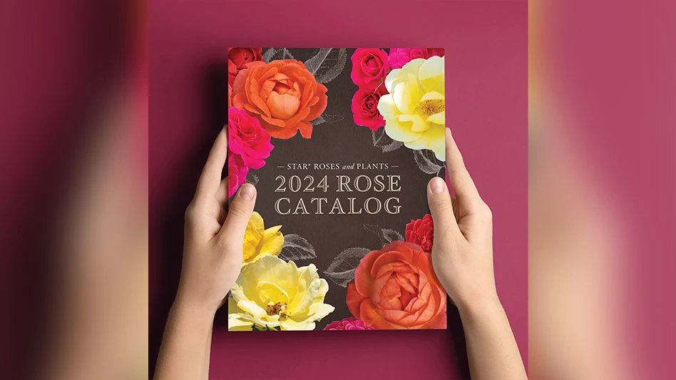 Photo courtesy of Star Roses and Plants