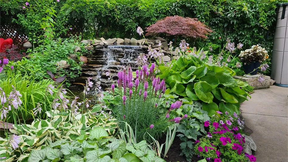 "Keeping It Green" is a weekly podcast in which Penn State Extension educators talk with ornamental plant professionals and enthusiasts.