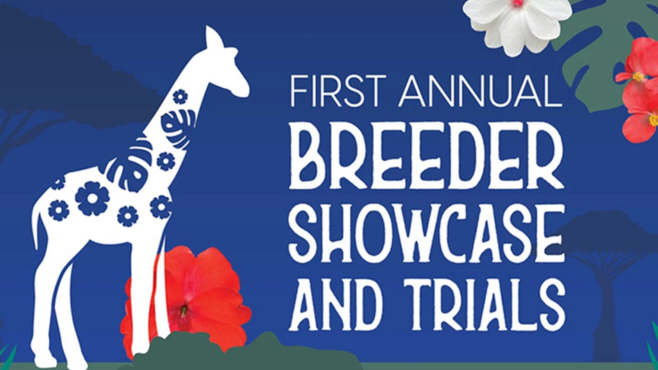 Image courtesy of EHR