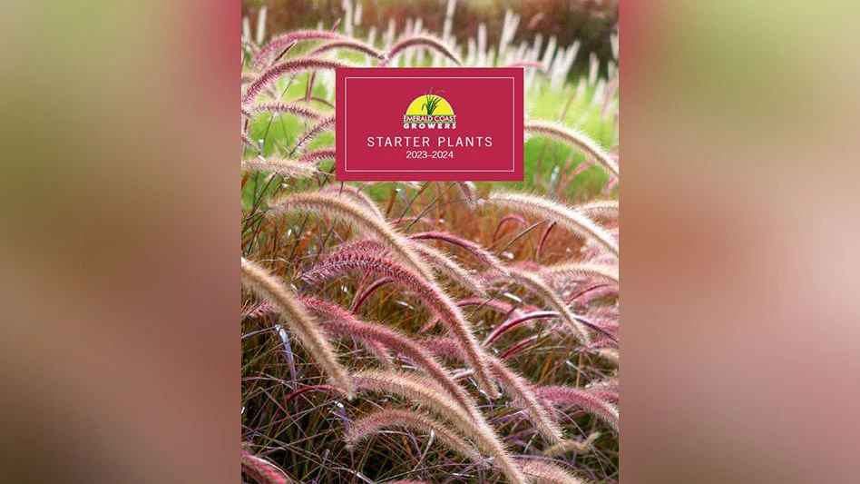 The 2023-24 edition features an exciting section called Fresh Picks.