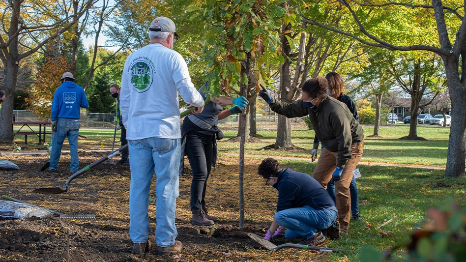 Community tree planting.