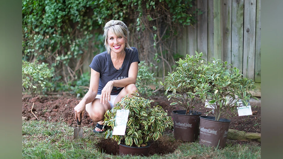 A woman in a dark gray T-shirt smiles as she kneels in a yard in front of a wooden fence. There are three green plants in brown pots that say Southern Living Plant Collection; one is in a hole in the ground, and she holds a trowel.