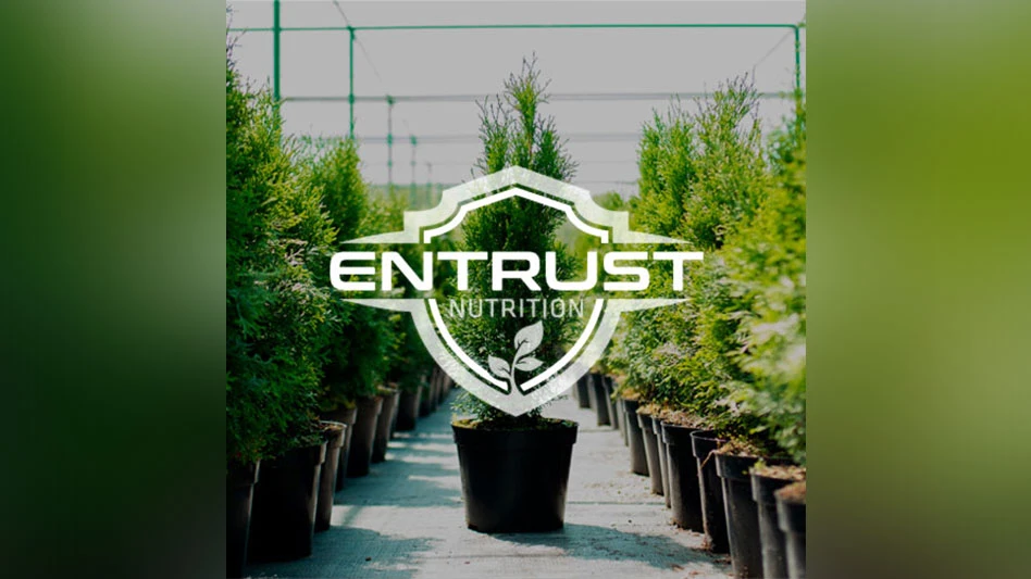 Image of trees on each side and the word "Entrust" in the center
