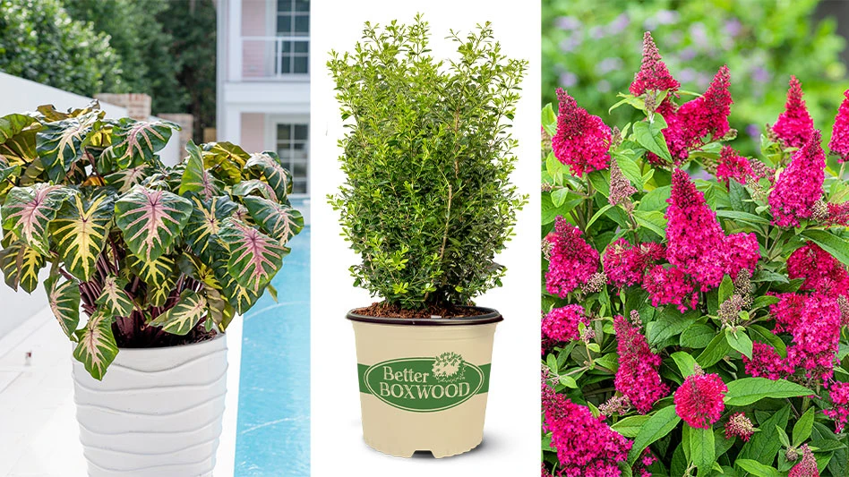 PDSI will announce its award-winning showcase at MANTS.