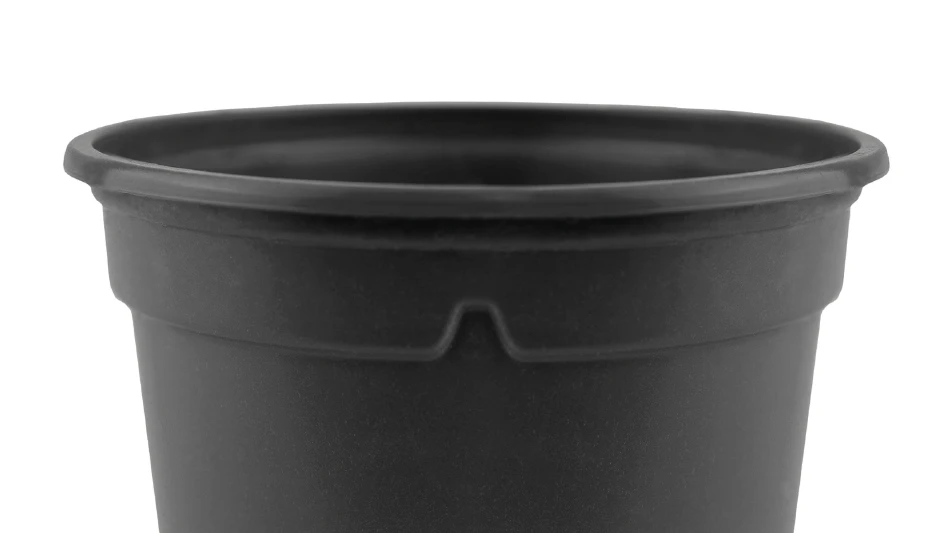 Aleksandra Aleroeva | iStockPhoto