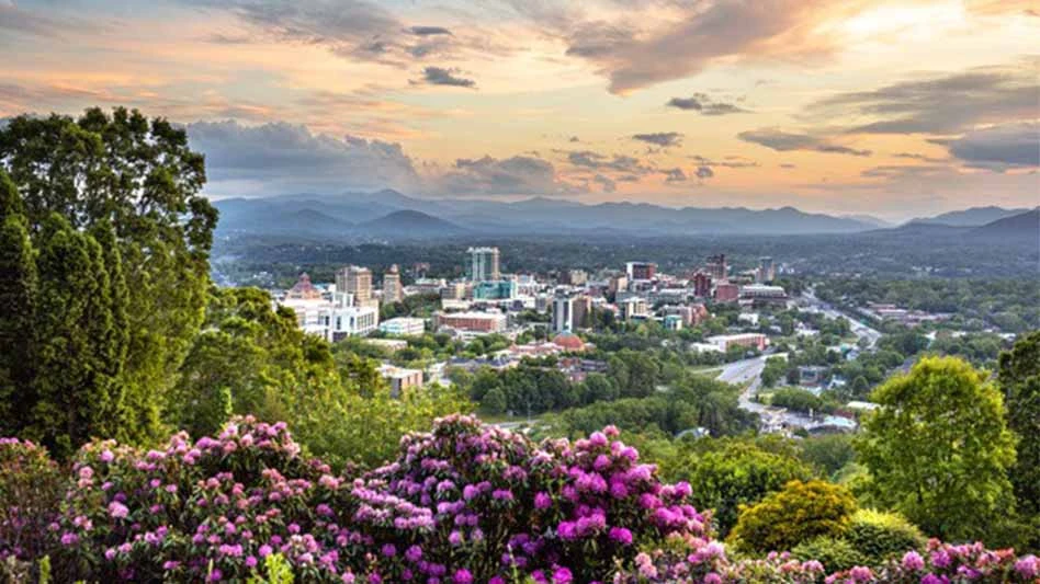 A view of Asheville, North Carolina, with bright purple flowers and a sunset.