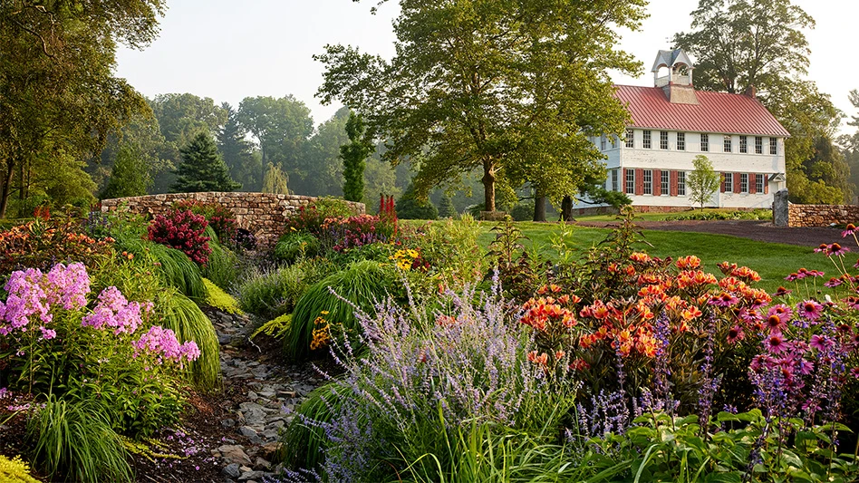 Pink, orange and purple flowers in a garden, with a large tree and farm building in the background.
