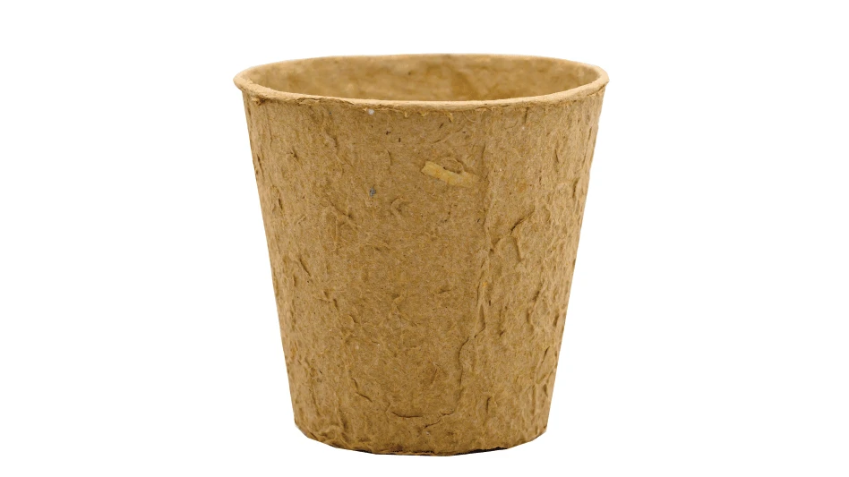 IKT224 | Adobe Stock