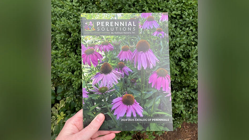A hand holds a catalog in front of green plants. The catalog reads Perennial Solutions by Hoffman Nursery, Inc. 2024-2024 Catalog of New Perennials. The cover photo shows multiple purplish-pink flowers with large brownish-gold centers on green stems with green leaves.