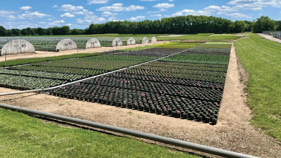 Photos: Pieper Nurseries