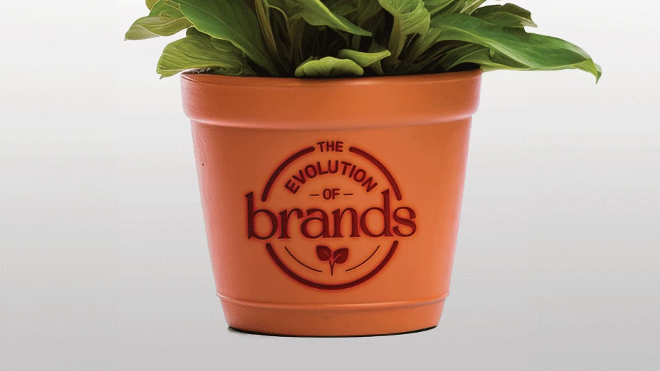 A green plant in an orange pot with a red label that reads The evolution of brands
