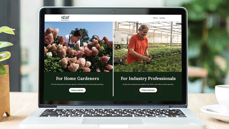 The Star Roses and Plants redesigned website is shown on a laptop sitting on a wooden table.