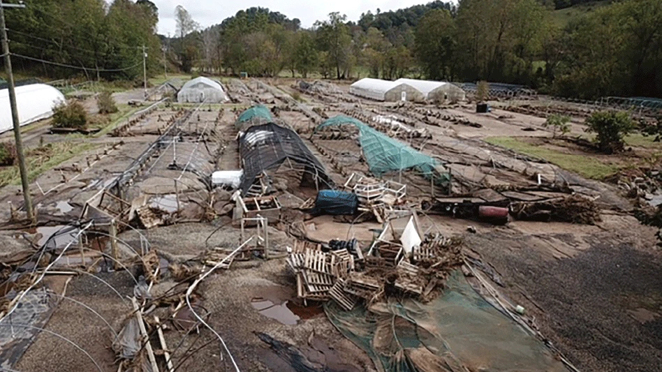 A nursery production facility completely destroyed by a hurricane.