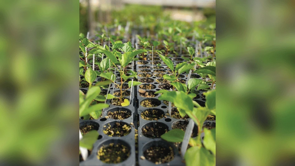 marketing-confidential