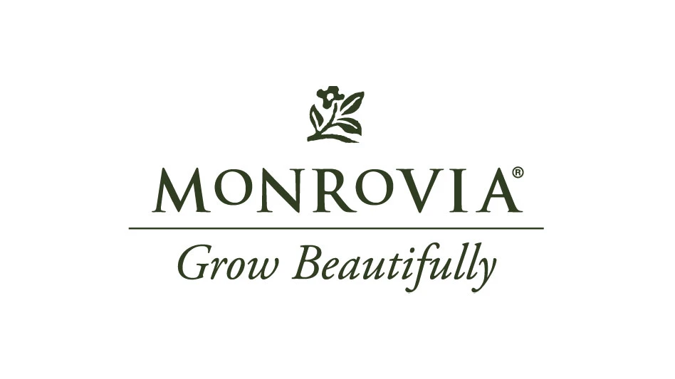 A logo with a white background and Monrovia in green letters. The words Grow Beautifully are underneath in italicized green letters, and a green flower icon is above all the words.