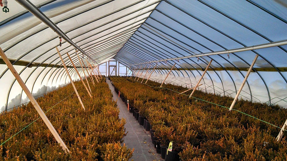 hoop house with wooden boards for support