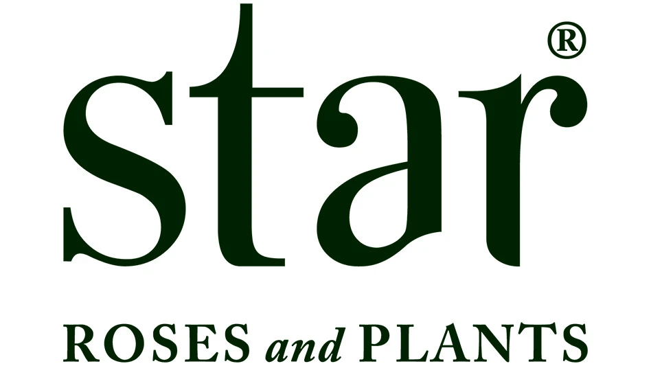 A logo with black text on a white background reads Star Roses and Plants.