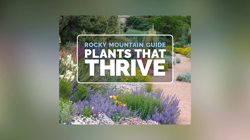 A photo of a mountain garden landscape, with white blue and text over the image reading Rocky Mountain Guide: Plants That Thrive.