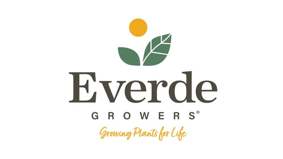 A logo with gray and yellow text on a white background. The gray text reads Everde Growers. The yellow text reads Growing Plants for Life. Above the text is a graphic of two green leaves and a yellow circular sun.