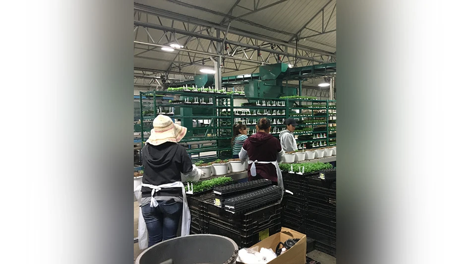 People inside of a warehouse building surrounded by machinery and baskets.