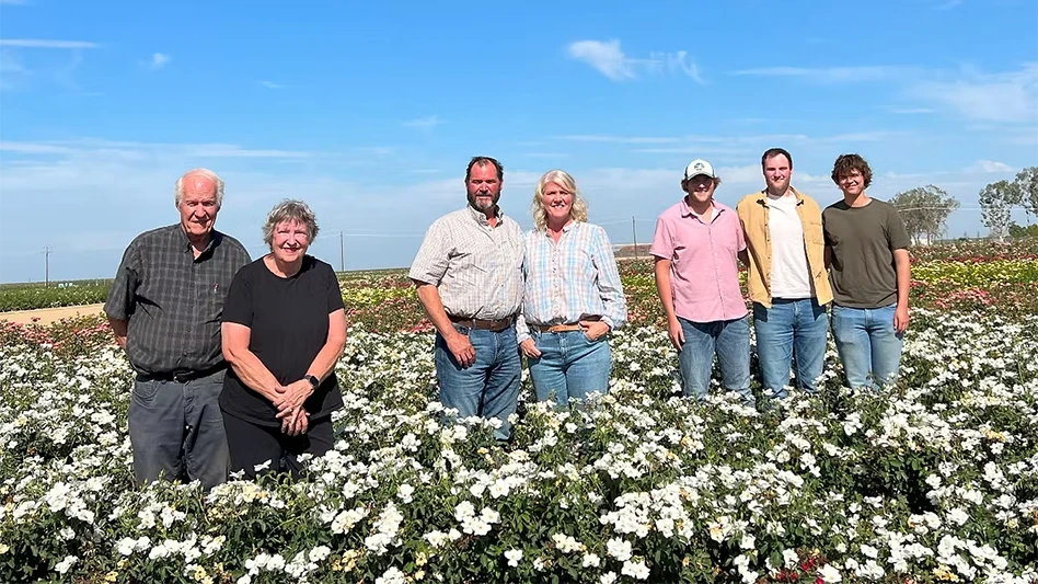 Seven people stand in a field of white roses under a blue sky.