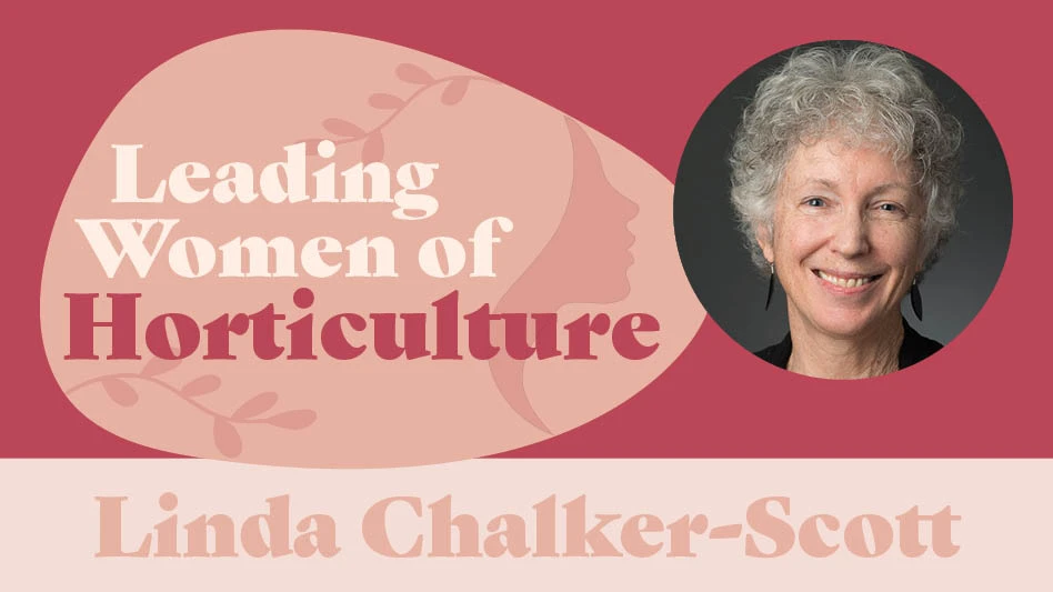 A women's headshot layered over a pink background.