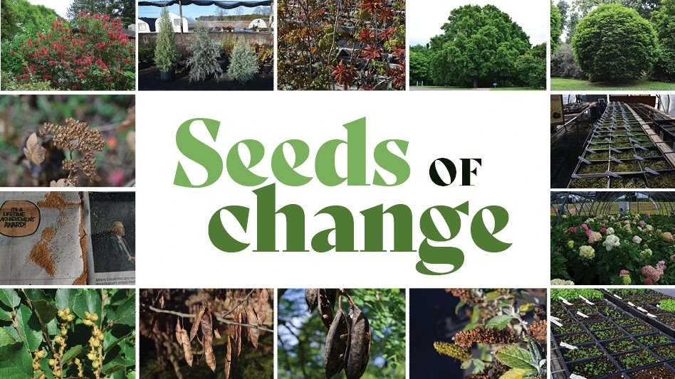 A collage of plants with a white box in the center. Inside the white box are the words "Seeds of change"