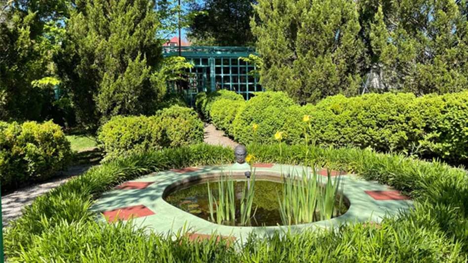 A garden with green grasses, shrubs and trees, with a very small circular pond in the middle.