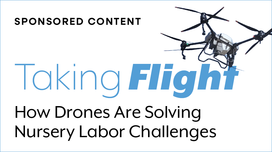 Graphic with the text: Taking Flight, how drones are solving nursery labor challenges. There's a drone in the top right corner.