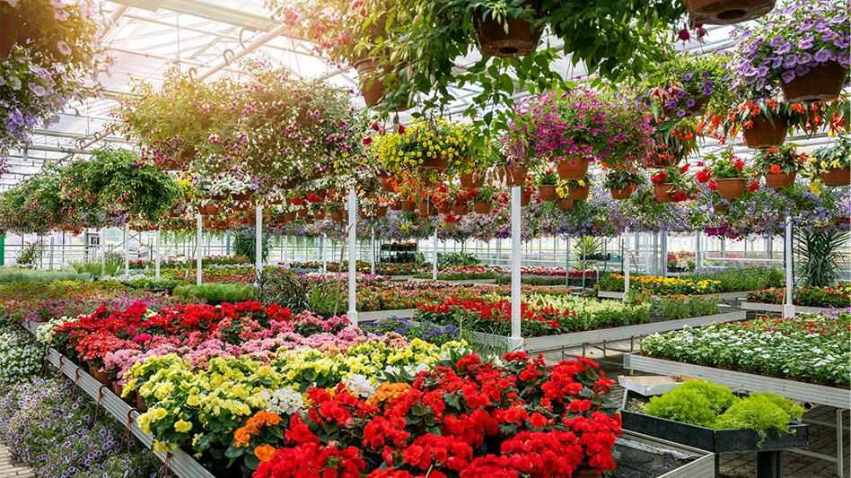An outdoor garden center full of colorful potted plants and flowers and hanging baskets.