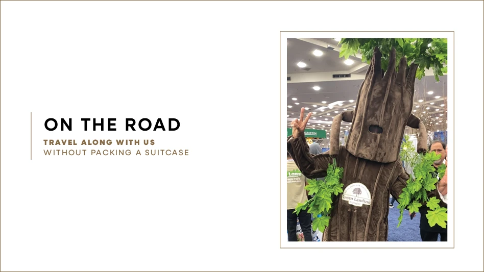 A person dressed up in a tree costume