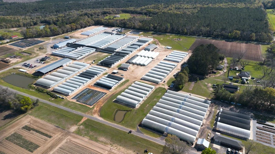 plant nursery from the sky