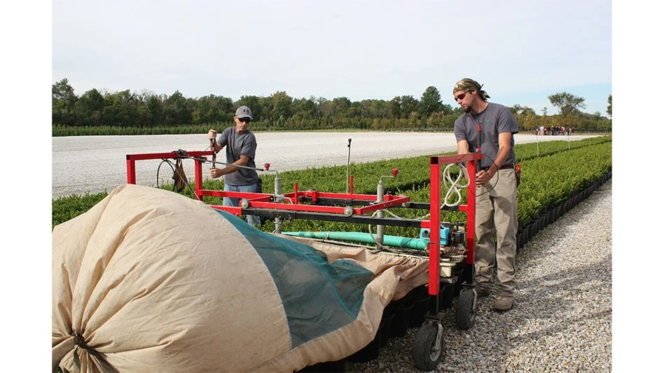 two men man trimming machines at a nursery