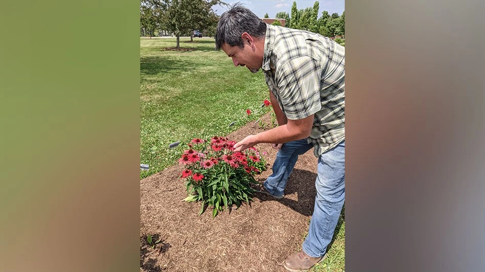 a man in a gray plaid shirt and jeans examines red flowers