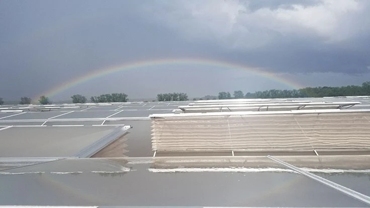 greenhouse rainbow