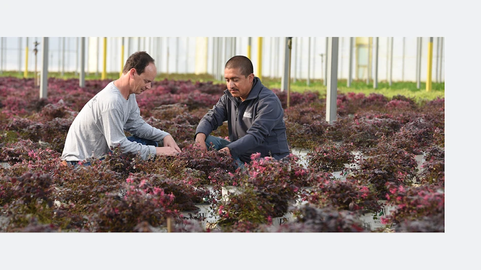 A softer approach - Nursery Management