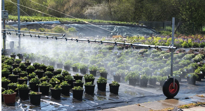Water spraying on plants