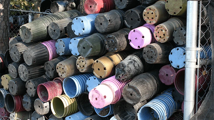 Photo: Nursery Management Staff