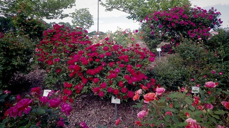 Naugatuck Valley Community College in Waterbury, Ct. is one of the A.R.T.S. trial sites.